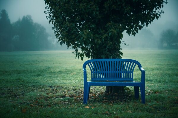 Traditional IRA: Strategic Growth Amidst Future Tax Obligations